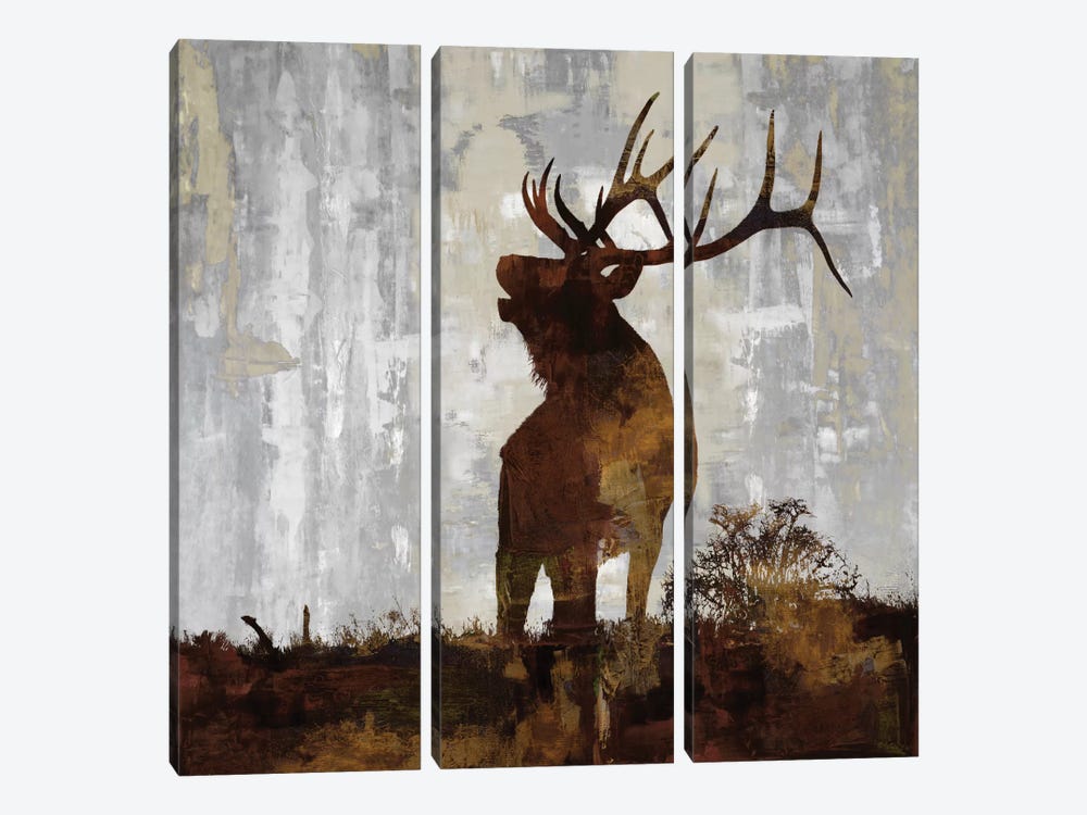 Elk by Carl Colburn 3-piece Canvas Print