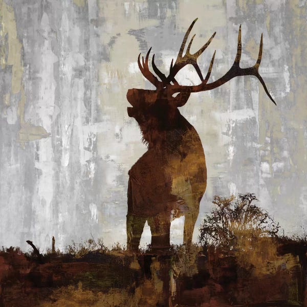 Deer: Elk by Carl Colburn