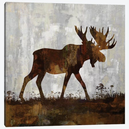 Moose Canvas Print #CCO4} by Carl Colburn Canvas Wall Art