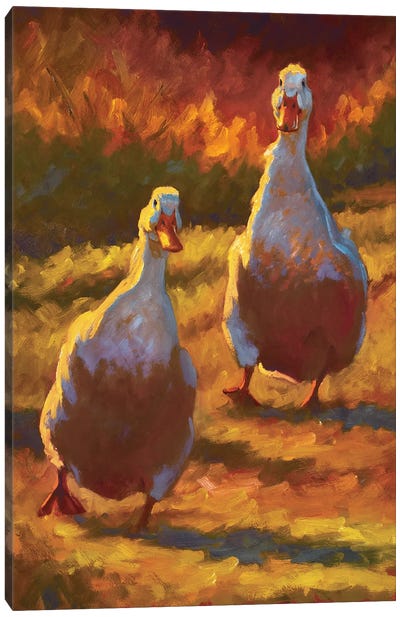 Waddling In Canvas Art Print - Golden Hour Animals