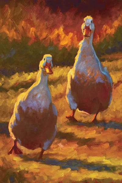 Golden Hour Animals: Waddling In by Cheri Christensen
