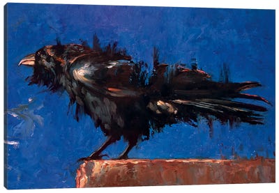 The Messenger Canvas Art Print - Raven Art