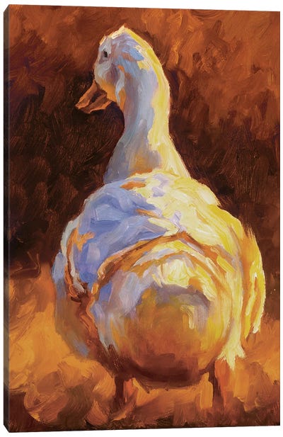 A New Direction Canvas Art Print - Duck Art