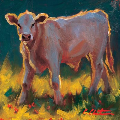 Calf In The Grass by Cheri Christensen gallery poster