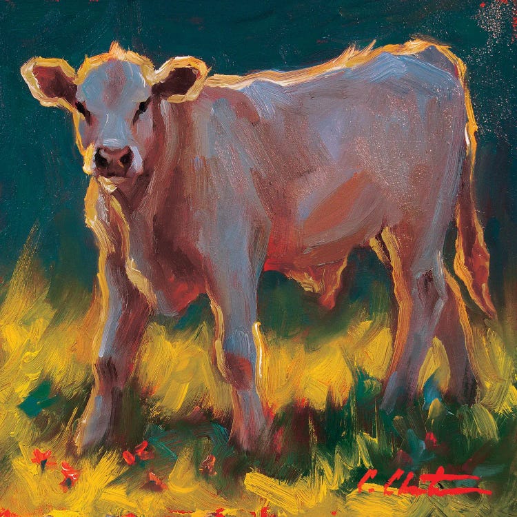 Calf In The Grass