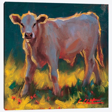 Calf In The Grass Canvas Print #CCT16} by Cheri Christensen Art Print