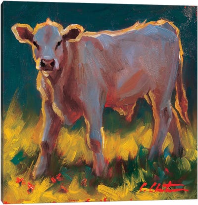 Calf In The Grass Canvas Art Print - Cheri Christensen
