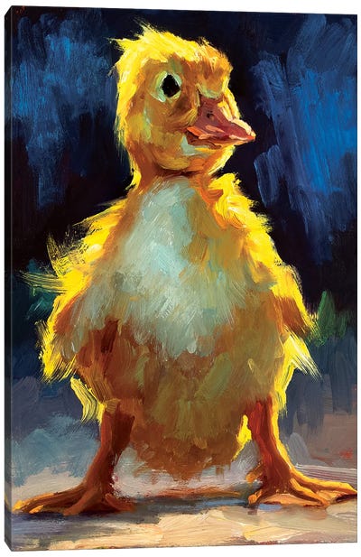 Dapper Duckling Canvas Art Print - Golden Hour Animals