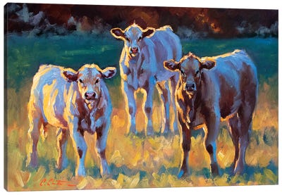 Evening In The Field Canvas Art Print - Golden Hour Animals