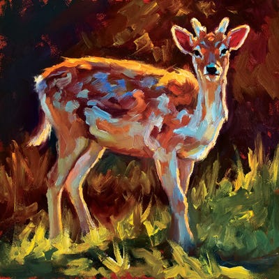 Fredericksburg Fawn by Cheri Christensen gallery poster