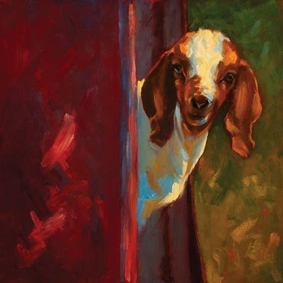 Goat Games by Cheri Christensen canvas print