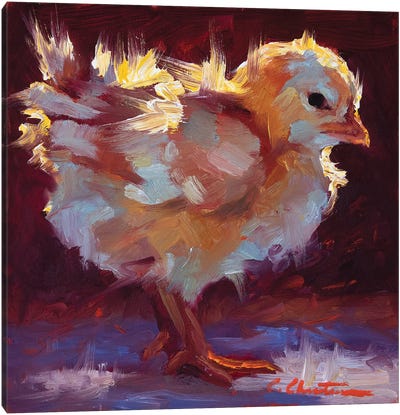 Chick-Lit Canvas Art Print - Baby Animal Art