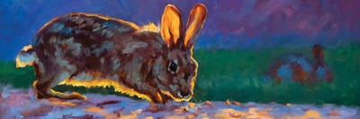 Hazel's Adventure by Cheri Christensen multi panel art