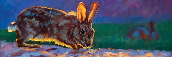 Golden Hour Animals: Hazel's Adventure by Cheri Christensen