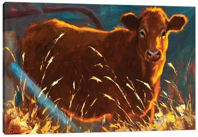 Infield Canvas Art Print - Golden Hour Animals
