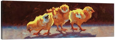 This Way And That Canvas Art Print - Chicken & Rooster Art