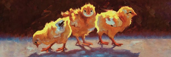 Chickens & Roosters: This Way And That by Cheri Christensen