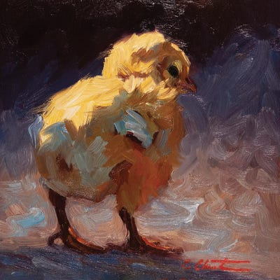 Bashful Chick by Cheri Christensen gallery poster