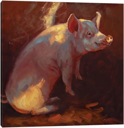 Some Pig Canvas Art Print - Golden Hour Animals