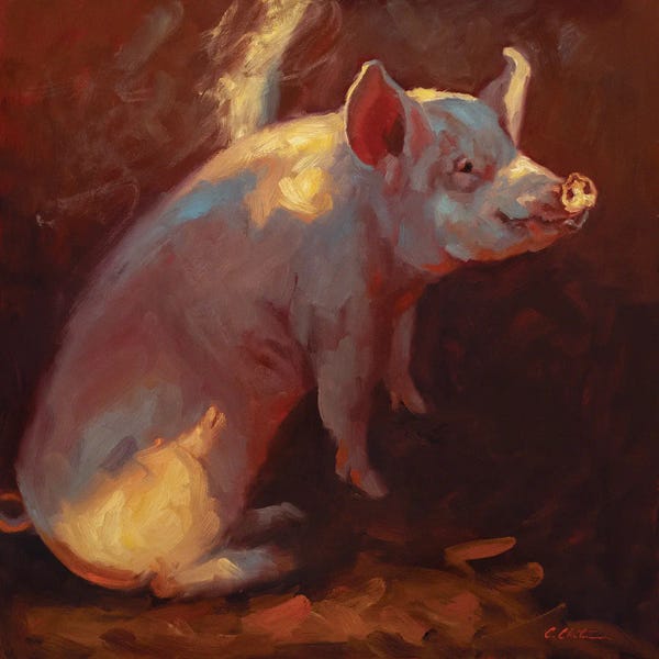 Golden Hour Animals: Some Pig by Cheri Christensen
