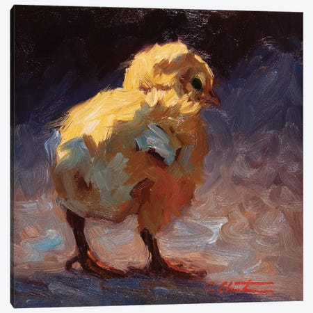 Bashful Chick Canvas Print #CCT4} by Cheri Christensen Canvas Art