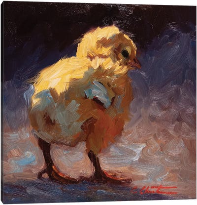Bashful Chick Canvas Art Print - Cheri Christensen