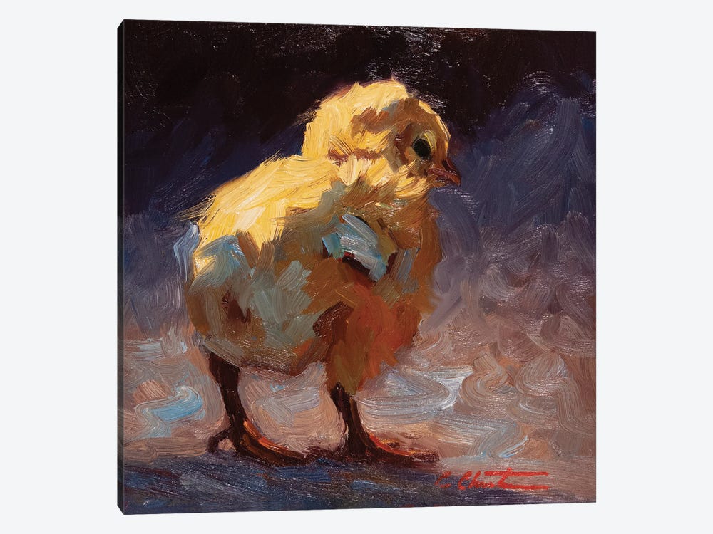 Bashful Chick by Cheri Christensen 1-piece Canvas Print