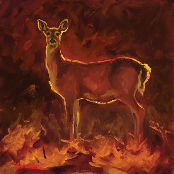 Vigilant