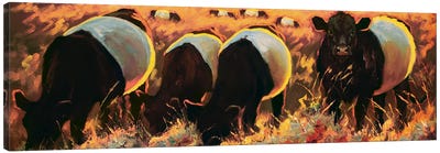 Vineyard Oreos Canvas Art Print