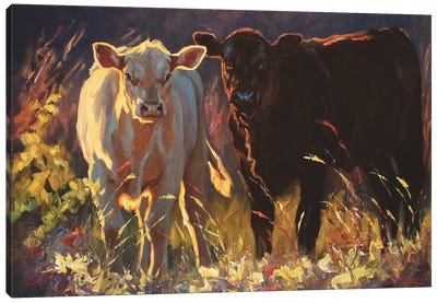 Hangin' In Fredericksburg Canvas Art Print - Cow Art