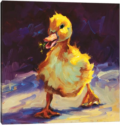 Fuzzy Duckling Canvas Art Print - Golden Hour Animals