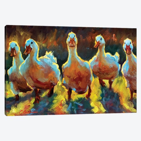 Duck Gangs Canvas Print #CCT61} by Cheri Christensen Canvas Art Print