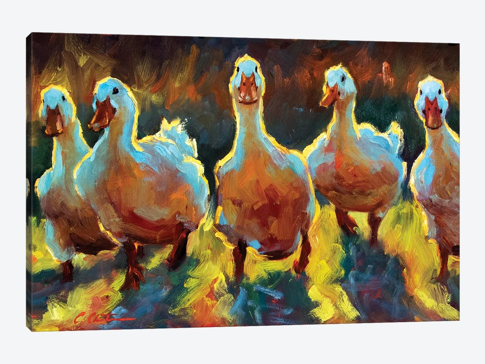 Duck Gangs by Cheri Christensen 1-piece Canvas Art