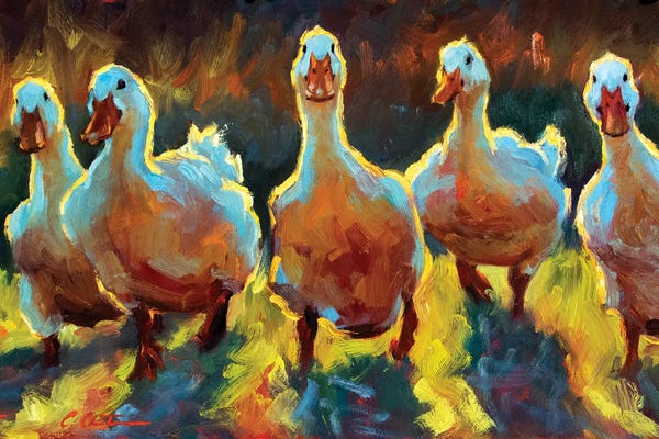 Golden Hour Animals: Duck Gangs by Cheri Christensen