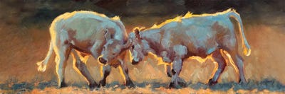 Cow Games by Cheri Christensen canvas print