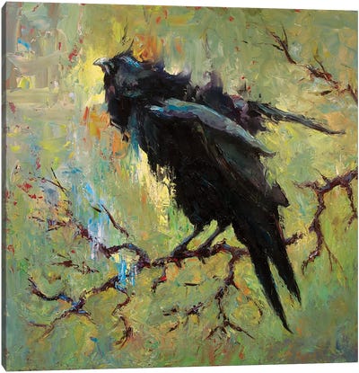 Odin Dreams Canvas Art Print - Raven Art
