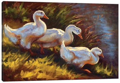 Sacred Pond Canvas Art Print - Golden Hour Animals