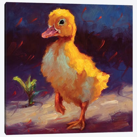 Duckling Adventure Canvas Print #CCT74} by Cheri Christensen Art Print