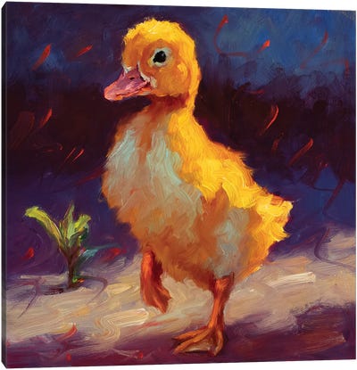 Duckling Adventure Canvas Art Print - Cheri Christensen