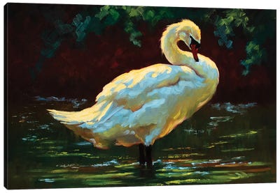 Hidden Cove Canvas Art Print - Swan Art