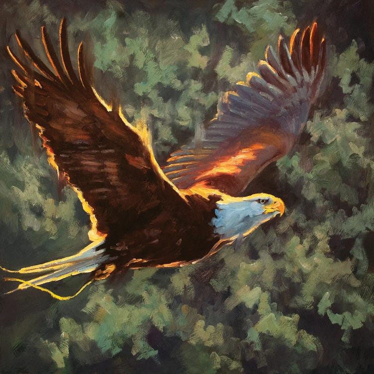 Soaring To Freedom by Cheri Christensen wall art