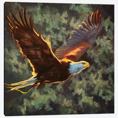 Soaring To Freedom Canvas Print #CCT7} by Cheri Christensen Canvas Wall Art