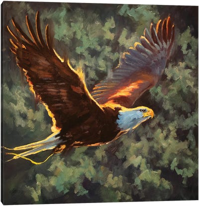 Soaring To Freedom Canvas Art Print - Eagle Art