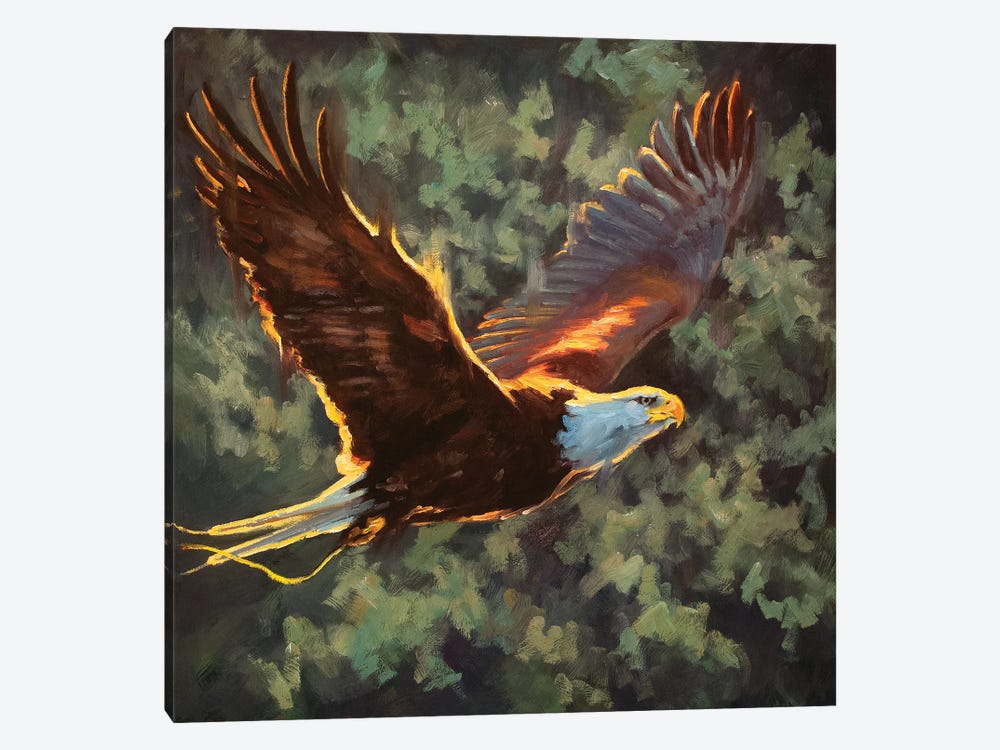 Soaring To Freedom by Cheri Christensen 1-piece Canvas Wall Art