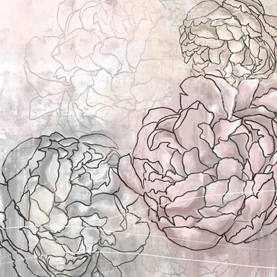 Blush Pink Peonies by Jae Landow framed canvas print