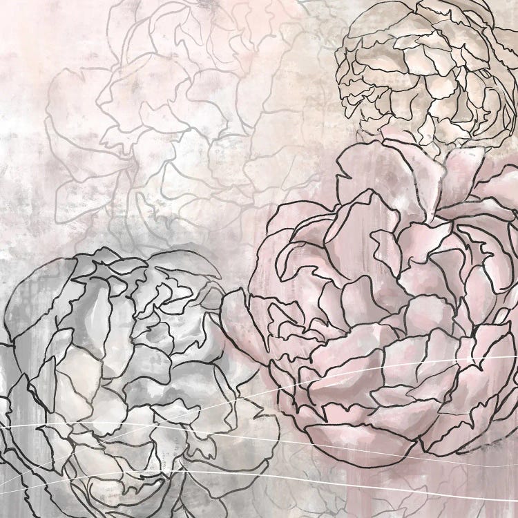 Blush Pink Peonies