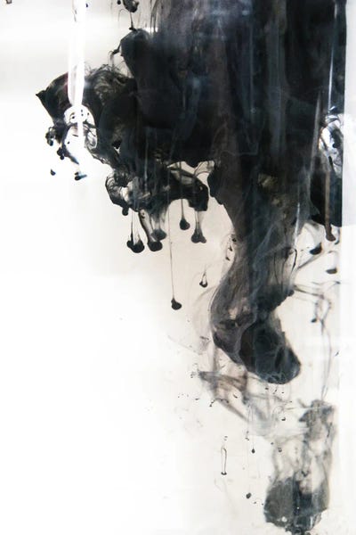 Ink Drop by Jae Landow framed canvas print