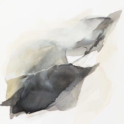 Into The Lightf by Cece Cheung canvas print