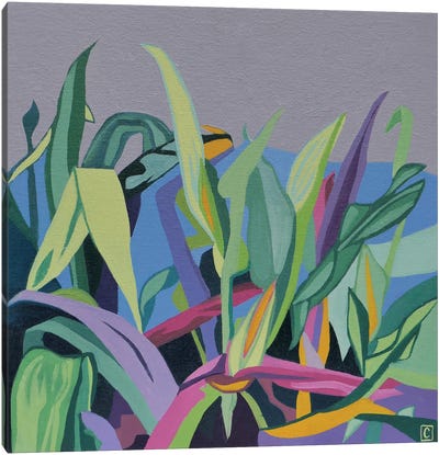 Corn Planting Canvas Art Print - Christophe Carlier