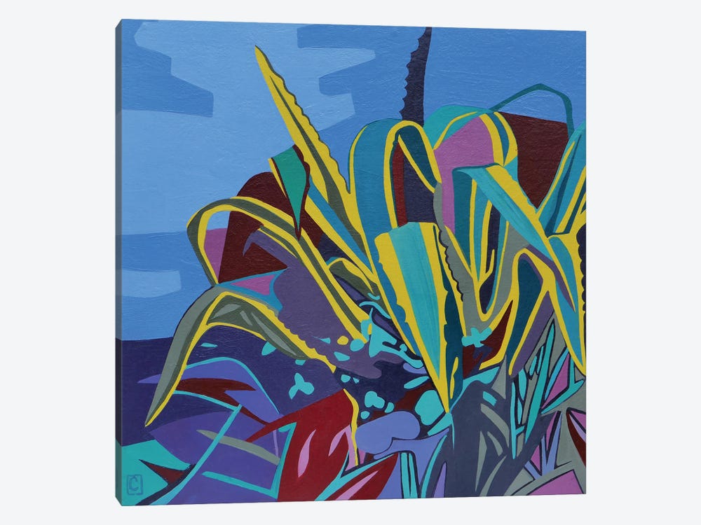 Maguey Study by Christophe Carlier 1-piece Canvas Print